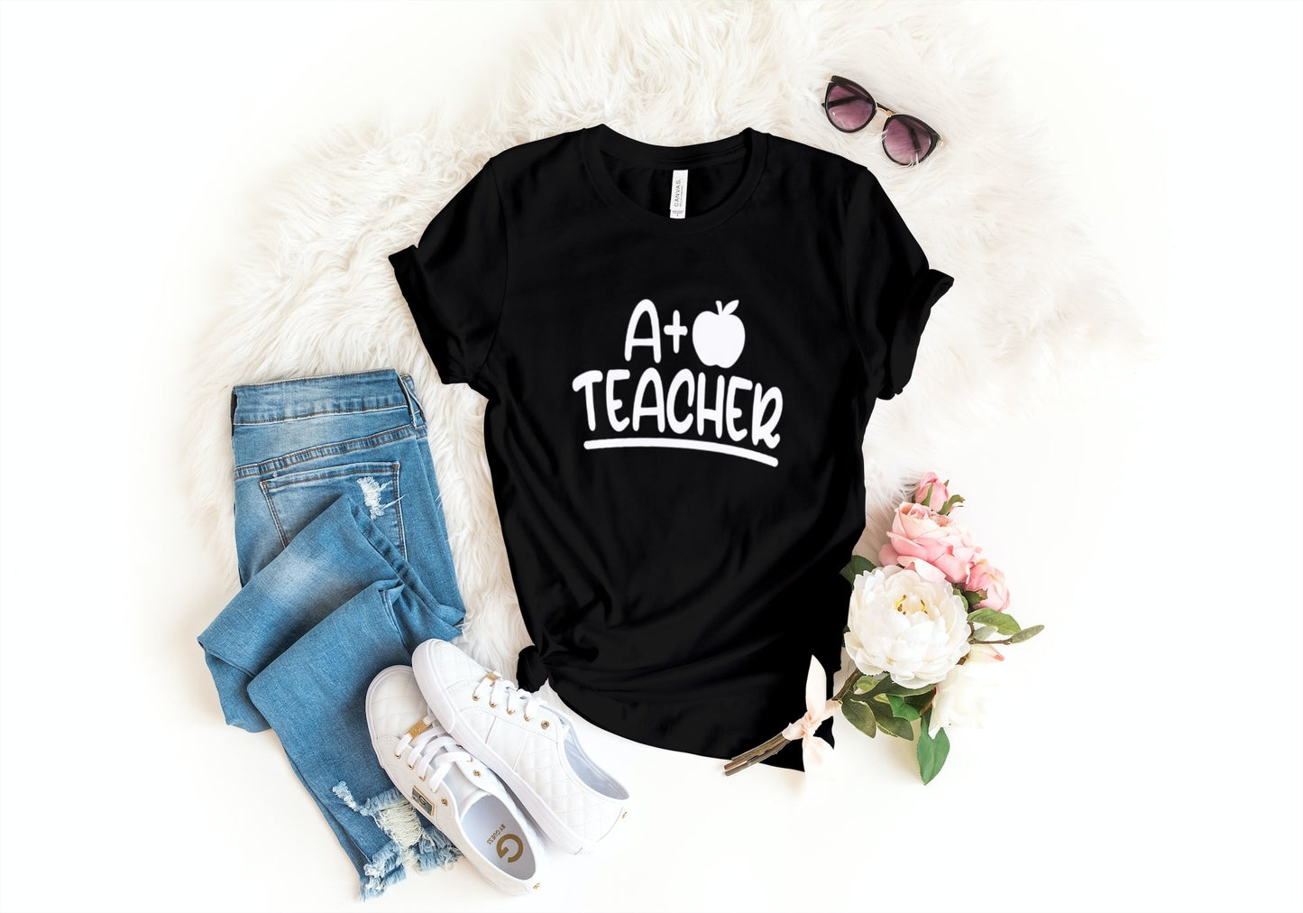 A+ TEACHER