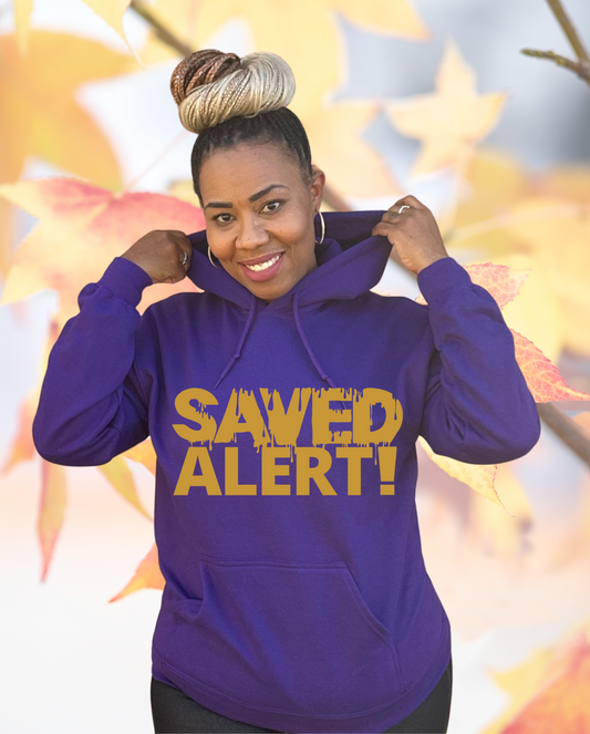 SAVED ALERT! HOODIE